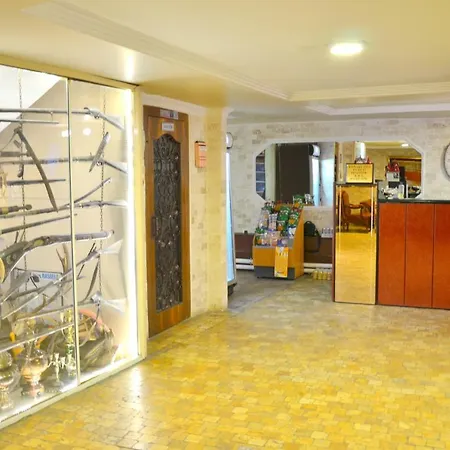 Elite Center Hotel 3*